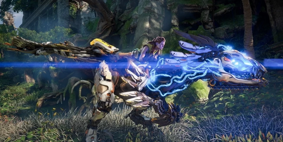 PC-地平线 西之绝境 中文版